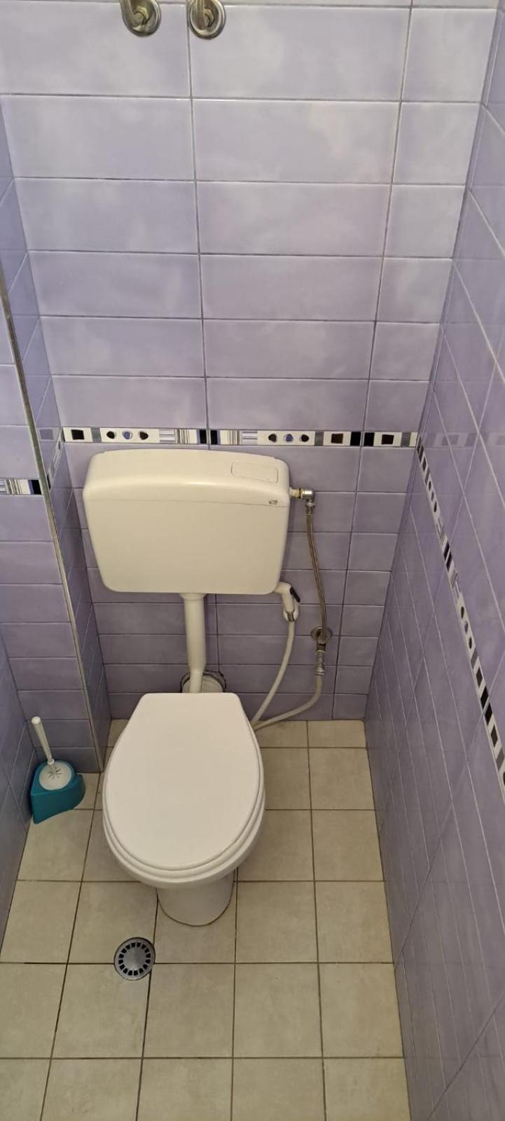 Araniti Веліпоя
